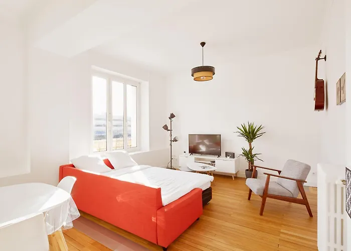 Charme Et Confort Entre Jardin Des Plantes Et Lu נאנט