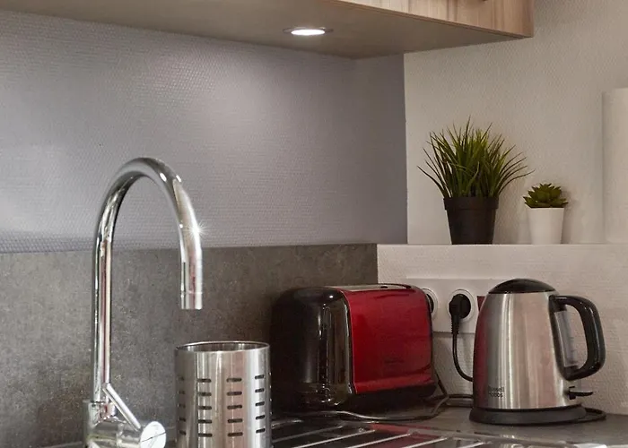 Charme Et Confort Entre Jardin Des Plantes Et Lu * נאנט